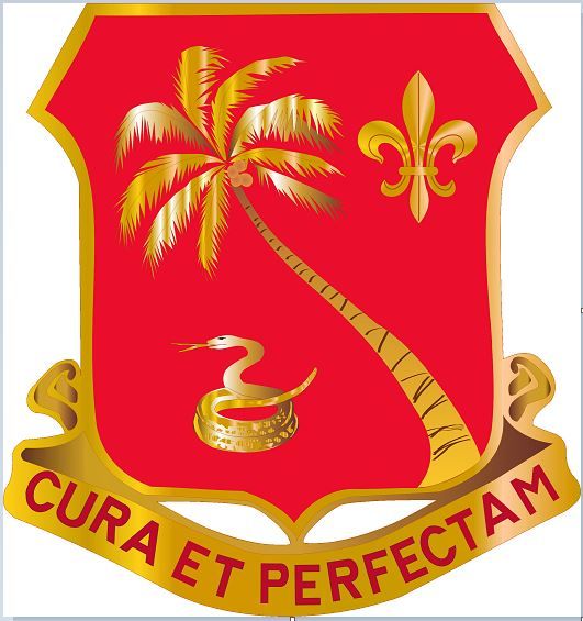 164th-field-artillery-battalion-insignia